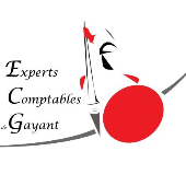 EXPERTS COMPTABLES DE GAYANT – Expert-comptable logo