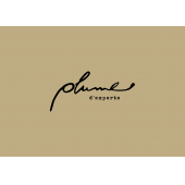 PLUME D'EXPERTS – Expert-comptable logo