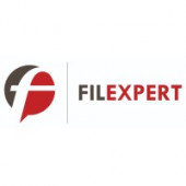 FILEXPERT 93 – Expert-comptable logo